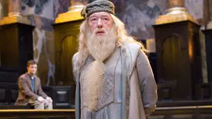Michael Gambon como 'Dumbledore' em Harry Potter (Foto: Warner Bros/Divulgação)