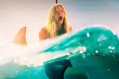 
                                        Animais Periogosos (Foto: Reprodução)