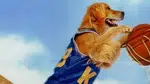 Air Bud (Foto: Divulgação)