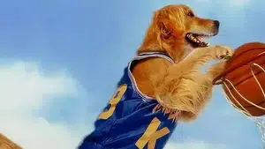 Air Bud Returns ganha primeiro trailer e marca o retorno da franquia